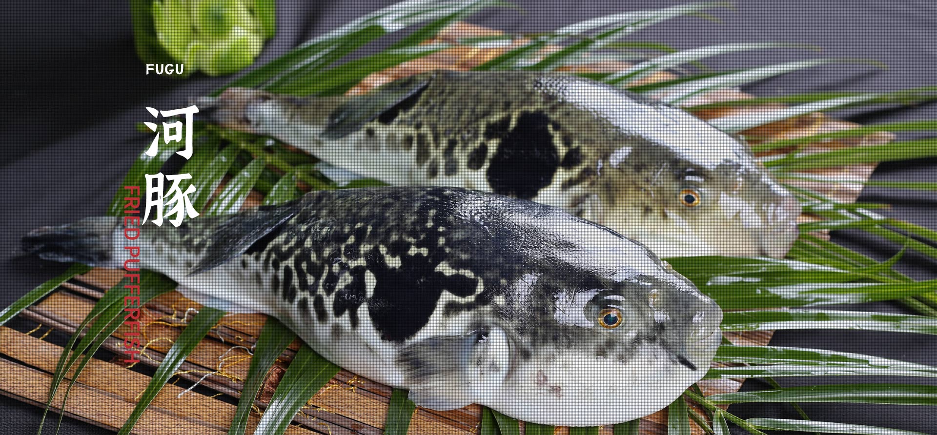 首页| 88858cc永利集团(Macau)官方网站